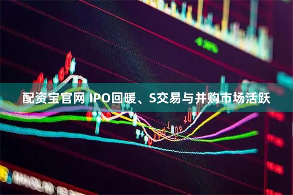 配资宝官网 IPO回暖、S交易与并购市场活跃