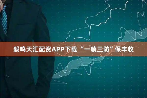 毅鸣天汇配资APP下载 “一喷三防”保丰收